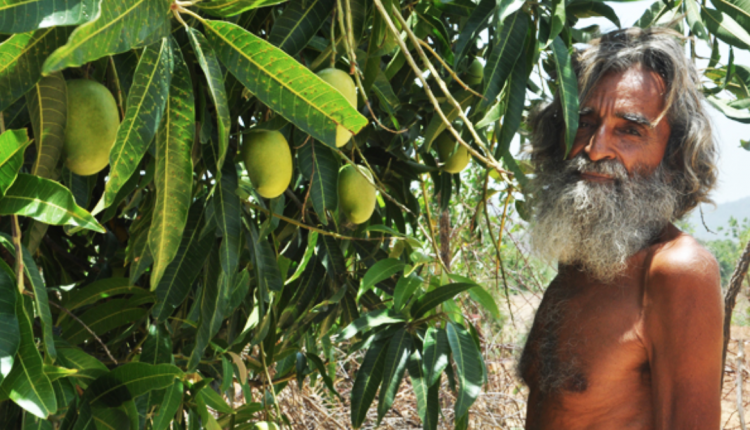 Screen Shot 2018-02-05 at 12.31.58 PM