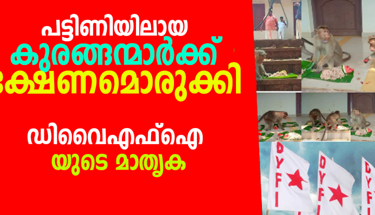 മിണ്ടാപ്രാണികൾക്ക് താങ്ങായി ഡിവൈഎഫ്ഐ