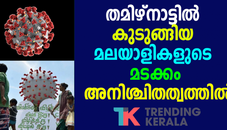 Malayalee's return from Tamilnadu Confusion in government orders